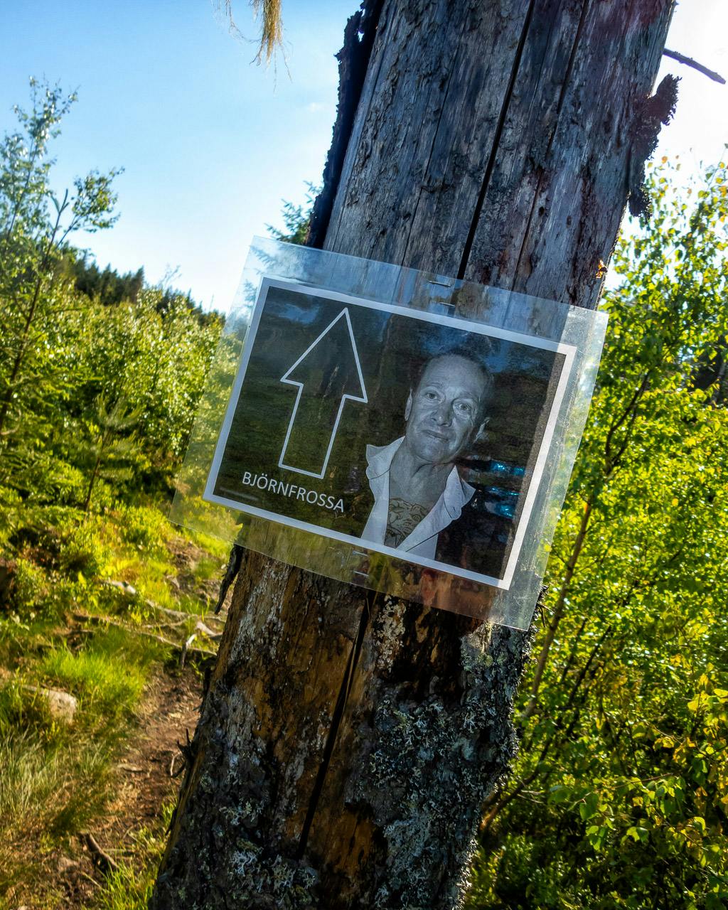 Björnfrossa maraton 2018