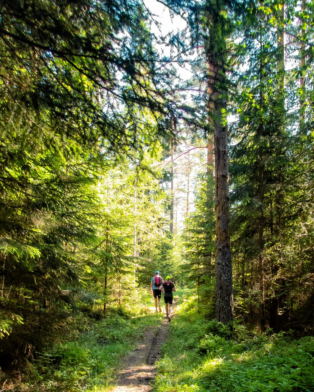 Björnfrossa ultramaraton 2018