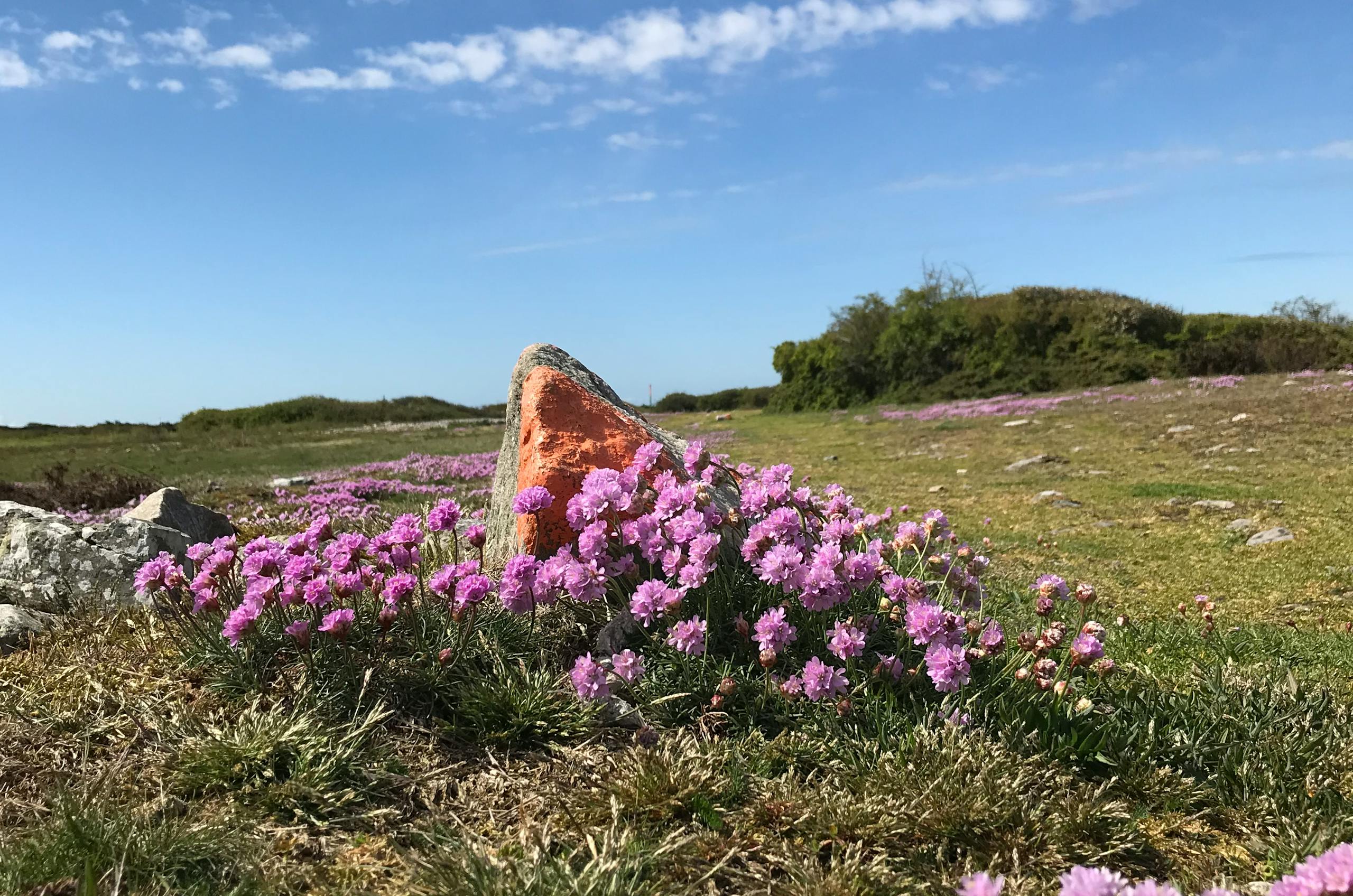 Upptäck Hallandsåsen | Trailrunning Sweden Trailrunning Sweden