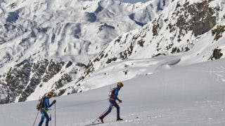 PDG2016