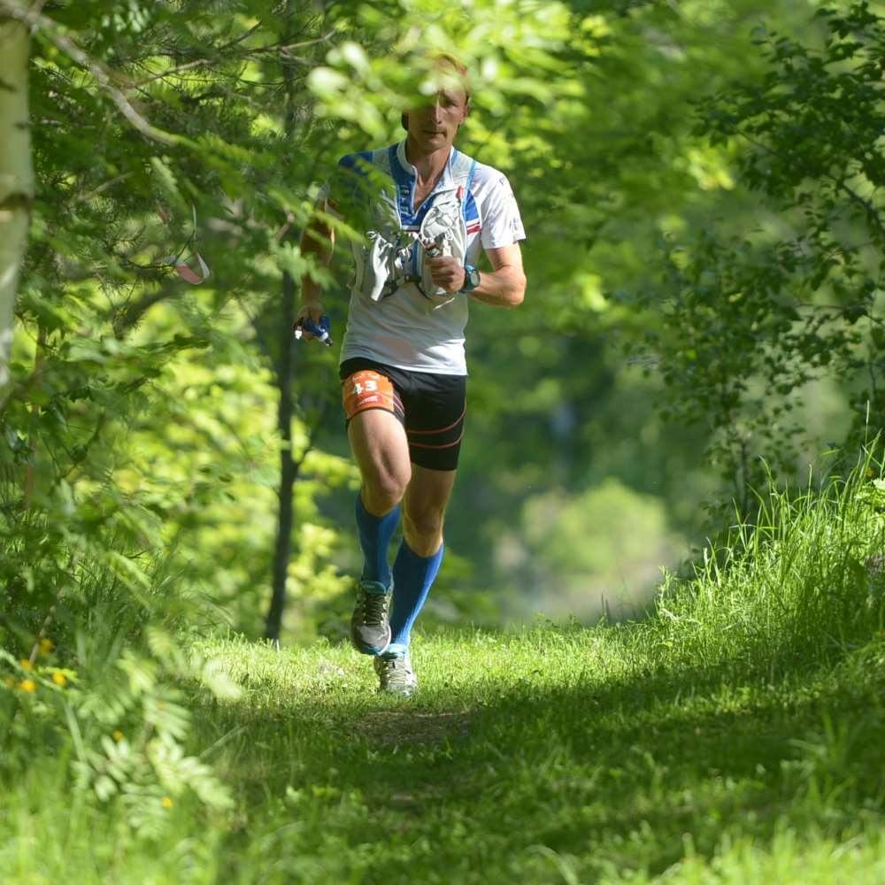 Roman på väg genom skogen